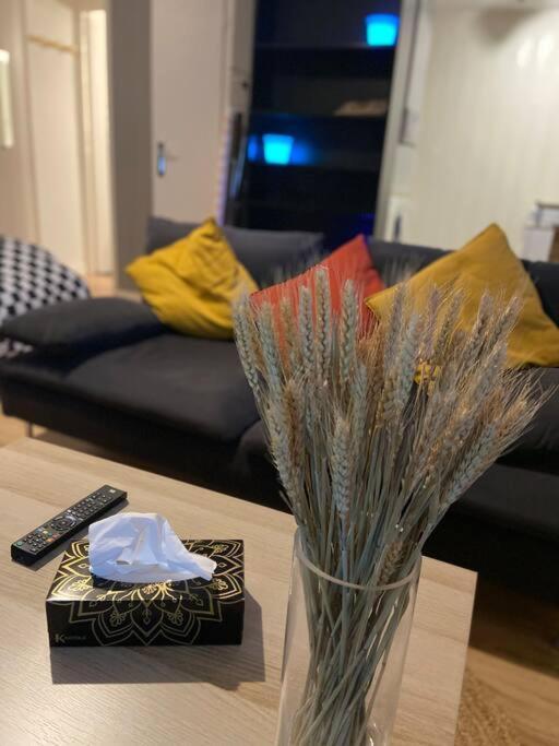 - Grand Proche Parc Darcy & Gare Appartement *